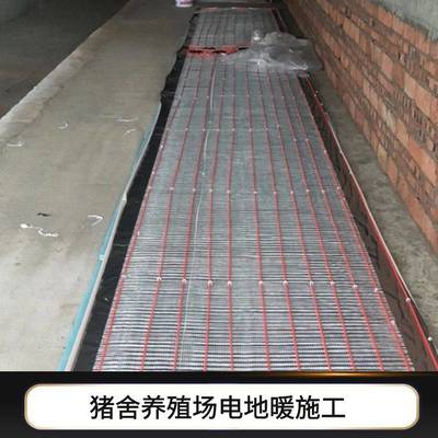 暖燁養殖場發熱線 石墨烯電地暖助力養蛇養豬高效越冬